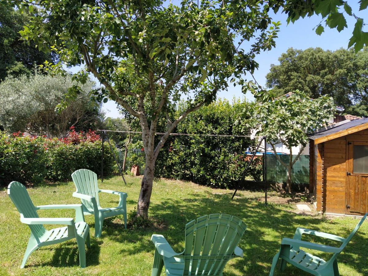 Maison Christy, Spacieux, Calme Avec Jardin Ondres Εξωτερικό φωτογραφία